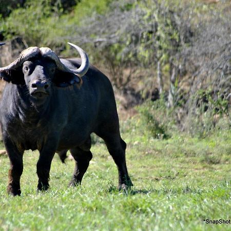 Kududu Guest House Addo Dış mekan fotoğraf