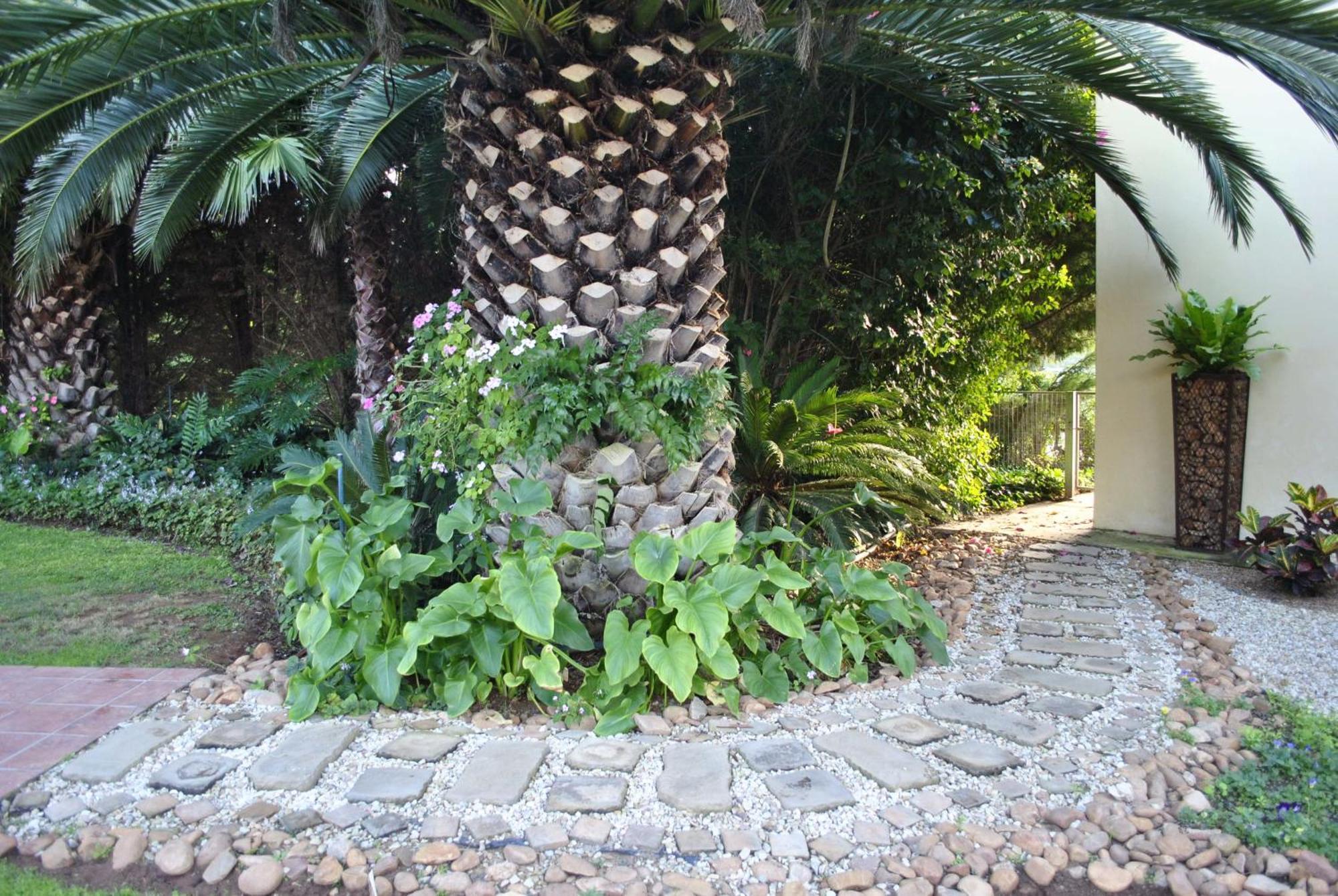 Kududu Guest House Addo Dış mekan fotoğraf