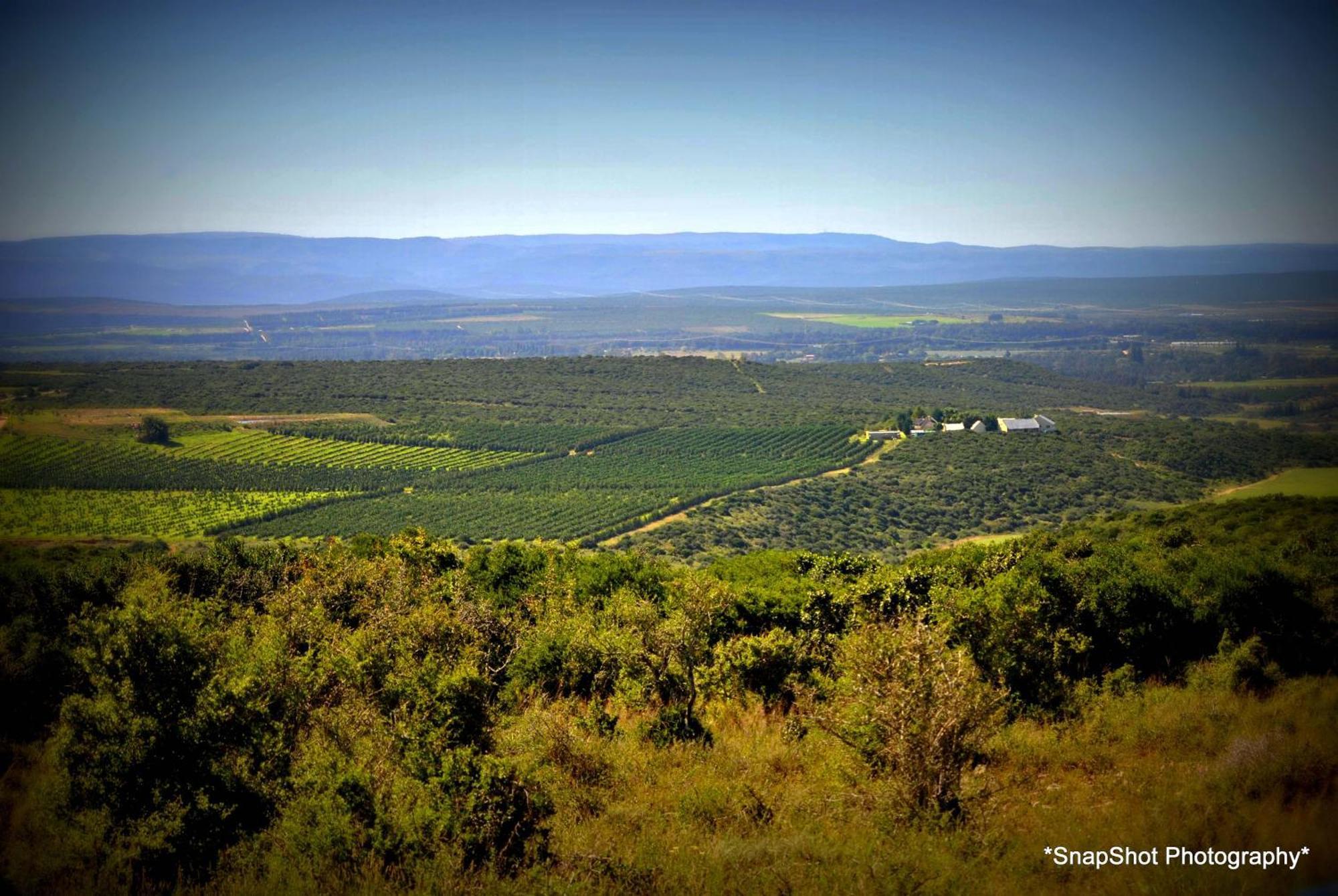 Kududu Guest House Addo Dış mekan fotoğraf